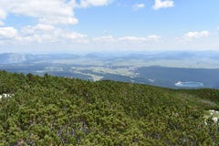 Mała halna sosna, Pinus Mugo na wierzchołku Crvena Greda szczyt i widok od wierzchołka, obrazy stock Mała halna sosna, Pinus Mugo na wierzchołku Crvena Greda szczyt i widok od wierzchołka, obrazy stock