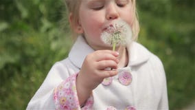 Małej dziewczynki blond dmuchanie dandelion zdjęcie wideo Małej dziewczynki blond dmuchanie dandelion zdjęcie wideo