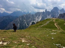 Mały koń w dolomitach obrazy stock Mały koń w dolomitach obrazy stock