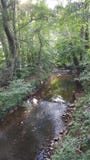 McDaniel Farm Park in Duluth Georgia - River View stock photo McDaniel Farm Park in Duluth Georgia - River View stock photo