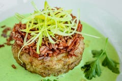Meat dish with rice, onions slices, greens and sauce royalty free stock photos Meat dish with rice, onions slices, greens and sauce royalty free stock photos