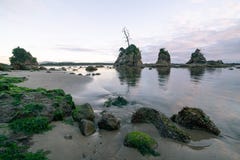Mech zakrywać skały przy Oregon wybrzeżem zdjęcia royalty free Mech zakrywać skały przy Oregon wybrzeżem zdjęcia royalty free