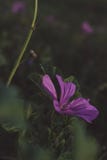 Medan det finns fortfarande något lämnat sommarliv Arkivfoto Medan det finns fortfarande något lämnat sommarliv Arkivfoto
