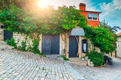 Medeltida kroatisk gammal gata och blommig ingång i Rovinj, Europa royaltyfri bild Medeltida kroatisk gammal gata och blommig ingång i Rovinj, Europa royaltyfri bild
