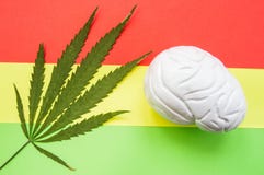 Medical cannabis leaf and brain anatomical figure lying on red, yellow and green Rasta background. Influence of culture of Rasta a royalty free stock photos Medical cannabis leaf and brain anatomical figure lying on red, yellow and green Rasta background. Influence of culture of Rasta a royalty free stock photos