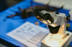 Close up of microscope lenses royalty free stock photo Close up of microscope lenses royalty free stock photo