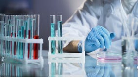 Medical scientist conducting test, observing reactions in glass flasks, research Royalty Free Stock Photos Medical scientist conducting test, observing reactions in glass flasks, research Royalty Free Stock Photos
