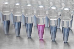 Medical Test Tubes With Liquids Royalty Free Stock Image