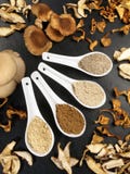 Medicinal Mushrooms - Healthy Nutrition stock photos Medicinal Mushrooms - Healthy Nutrition stock photos
