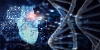 Medicine research of human heart royalty free stock photo Medicine research of human heart royalty free stock photo