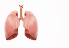 Medicinskt begrepp för stark lungaobduktion, skärm 3D vektor illustrationer Medicinskt begrepp för stark lungaobduktion, skärm 3D vektor illustrationer