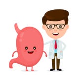 Medico sorridente divertente sveglio e stomaco felice sano illustrazione di stock Medico sorridente divertente sveglio e stomaco felice sano illustrazione di stock