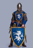 Medieval knight with shield in front of him