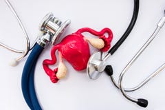 Medisch concept in verloskunde en gynaecologie Anatomisch cijferexemplaar van baarmoeder met aanhangsels - de eierstokken en de e royalty-vrije stock foto Medisch concept in verloskunde en gynaecologie Anatomisch cijferexemplaar van baarmoeder met aanhangsels - de eierstokken en de e royalty-vrije stock foto