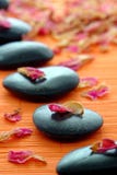 Meditation Wellness Zen Path Of Polished Stones Royalty Free Stock Photo Meditation Wellness Zen Path Of Polished Stones Royalty Free Stock Photo