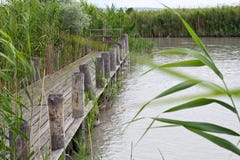 Meer Neusiedl, Nationaal Park stock fotografie Meer Neusiedl, Nationaal Park stock fotografie