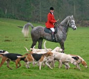 Meester met honden Meester met honden