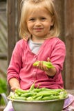 Meisje die groene erwtenpeulen in haar hand houden dichtbij een komhoogtepunt van rijpe peulen en het glimlachen stock fotografie Meisje die groene erwtenpeulen in haar hand houden dichtbij een komhoogtepunt van rijpe peulen en het glimlachen stock fotografie