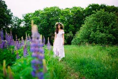 Meisje met een kroon van wildflowers royalty-vrije stock afbeeldingen Meisje met een kroon van wildflowers royalty-vrije stock afbeeldingen