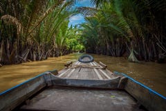 Boattrip on the Mekong through the rainforest of vietnam royalty free stock images Boattrip on the Mekong through the rainforest of vietnam royalty free stock images