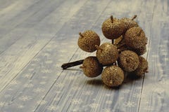 Mele decorative spruzzate con i chip dorati scuri su fondo leggero fotografia stock libera da diritti Mele decorative spruzzate con i chip dorati scuri su fondo leggero fotografia stock libera da diritti