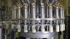 Melk het gieten in flessen op een industrieel materiaal bij een fabriek van de melkproductie Melk het gieten in flessen op een industrieel materiaal bij een fabriek van de melkproductie
