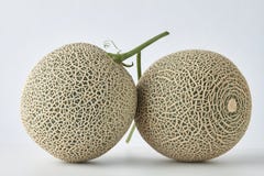 Melon frais sur le fond blanc image stock Melon frais sur le fond blanc image stock