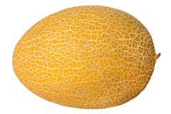 Melone maturo isolato su priorità bassa bianca fotografia stock libera da diritti Melone maturo isolato su priorità bassa bianca fotografia stock libera da diritti