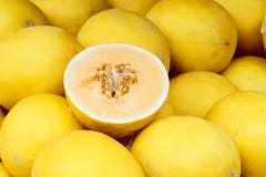 melonyellow arkivbilder melonyellow arkivbilder