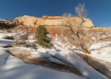 Melting snow carves a path through the fresh snow in this wash below East Temple in Zion national park royalty free stock photography Melting snow carves a path through the fresh snow in this wash below East Temple in Zion national park royalty free stock photography