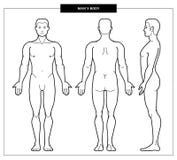 Men`s body and anatomy