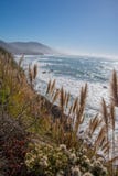 Mendocino County Coastal Headlands Stock Image Mendocino County Coastal Headlands Stock Image