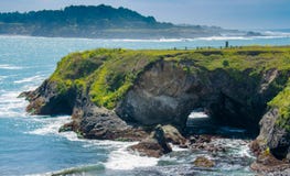 Mendocino Headlands Sink Hole Royalty Free Stock Image Mendocino Headlands Sink Hole Royalty Free Stock Image