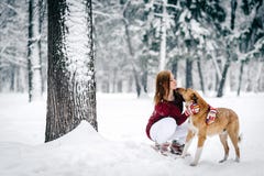 A menina bonita vestida em uma camiseta marrom e em umas calças brancas sentou-se para baixo ao lado do cão vermelho contra um co fotos de stock royalty free A menina bonita vestida em uma camiseta marrom e em umas calças brancas sentou-se para baixo ao lado do cão vermelho contra um co fotos de stock royalty free