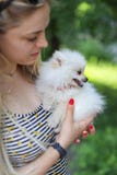 A menina bonito com cabelo louro guarda o cão pequeno da raça em seus braços e exulta-o no animal Cão branco pequeno pomeranian foto de stock A menina bonito com cabelo louro guarda o cão pequeno da raça em seus braços e exulta-o no animal Cão branco pequeno pomeranian foto de stock