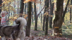 Menina e cão Mulher bonita que joga com seu cão Criança e cão Menina que joga com o cão na menina da floresta com video estoque Menina e cão Mulher bonita que joga com seu cão Criança e cão Menina que joga com o cão na menina da floresta com video estoque