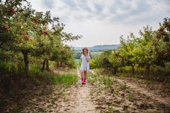 A menina em caminhadas das botas do chapéu e de chuva e come a maçã doce no pomar de maçã foto de stock A menina em caminhadas das botas do chapéu e de chuva e come a maçã doce no pomar de maçã foto de stock