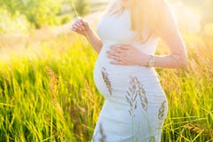 A menina grávida anda no campo fotografia de stock A menina grávida anda no campo fotografia de stock