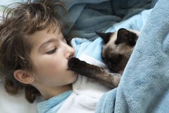 Menina que encontra-se para baixo na cama com seu gato Imagens de Stock Menina que encontra-se para baixo na cama com seu gato Imagens de Stock