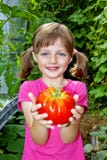 Menina que prende um tomate grande foto de stock royalty free Menina que prende um tomate grande foto de stock royalty free