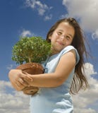 Menina que prende a árvore pequena imagens de stock Menina que prende a árvore pequena imagens de stock