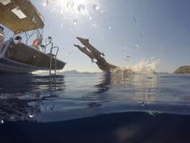 A menina que salta do mar tropical do veleiro na claro imagem de stock A menina que salta do mar tropical do veleiro na claro imagem de stock
