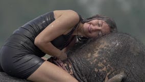 A menina tem um chuveiro no elefante filme A menina tem um chuveiro no elefante filme