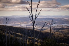 Mening die van Onderstel Wellington Hobart, Tasmanige, Australië overzien royalty-vrije stock afbeelding Mening die van Onderstel Wellington Hobart, Tasmanige, Australië overzien royalty-vrije stock afbeelding