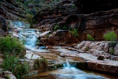 Meningen van het Nationale Park van Grand Canyon royalty-vrije stock afbeelding Meningen van het Nationale Park van Grand Canyon royalty-vrije stock afbeelding