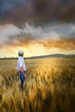 Mens die zich in een wheatfield bevindt stock foto Mens die zich in een wheatfield bevindt stock foto