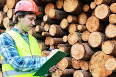 Mens in het houten timmerhout van de helmarbeider Stock Afbeelding Mens in het houten timmerhout van de helmarbeider Stock Afbeelding