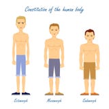 Menschlicher Körper Ectomorph mesomorph Endomorph stock abbildung Menschlicher Körper Ectomorph mesomorph Endomorph stock abbildung