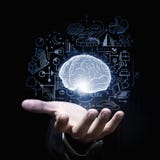 Menschliches Gehirn lizenzfreies stockbild Menschliches Gehirn lizenzfreies stockbild
