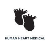 Menselijk hart medisch pictogram Eenvoudige elementenillustratie Menselijke hea vector illustratie Menselijk hart medisch pictogram Eenvoudige elementenillustratie Menselijke hea vector illustratie